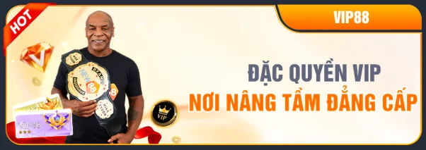NEW88 VIP88 privilege exclusive rewards