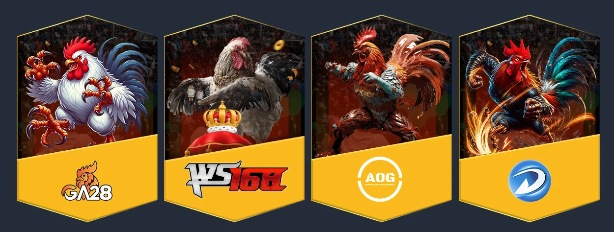cockfighting providers